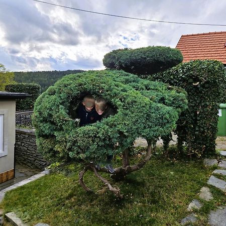 Huette Auf 1000M Hoehe In Moenichkirchen. Dış mekan fotoğraf