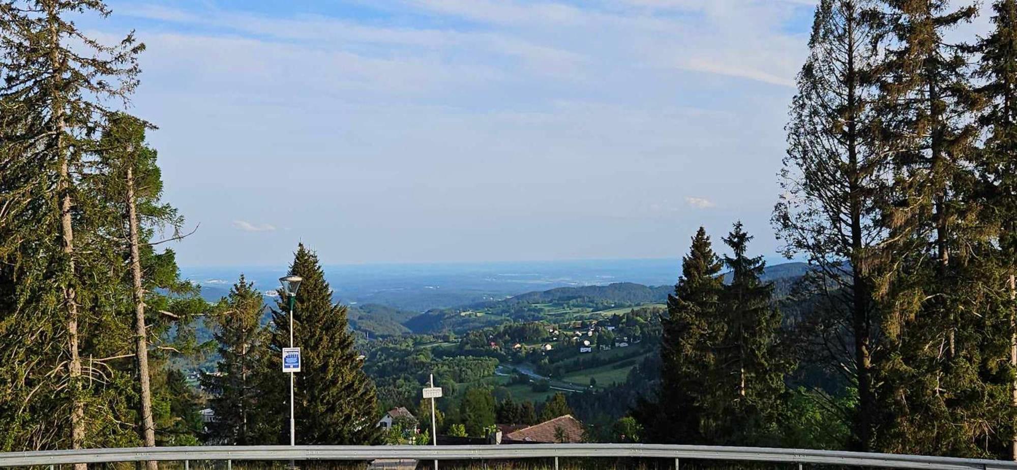 Huette Auf 1000M Hoehe In Moenichkirchen. Dış mekan fotoğraf